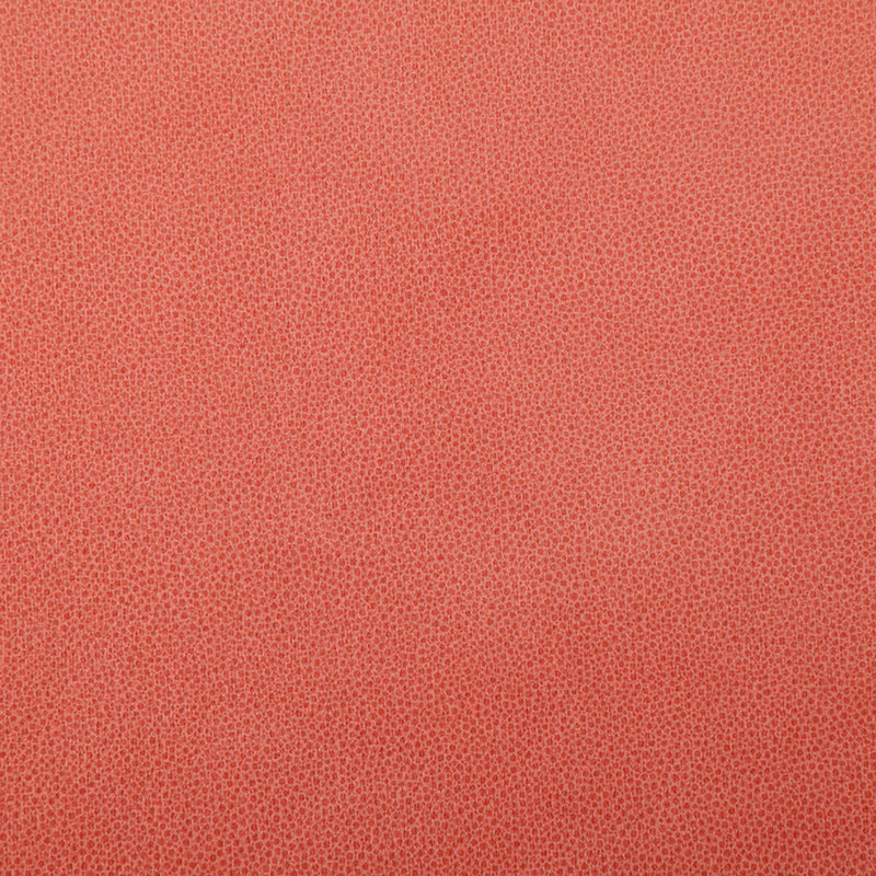 Q27 Cloudy leather print and embossing brushed velvet fabric